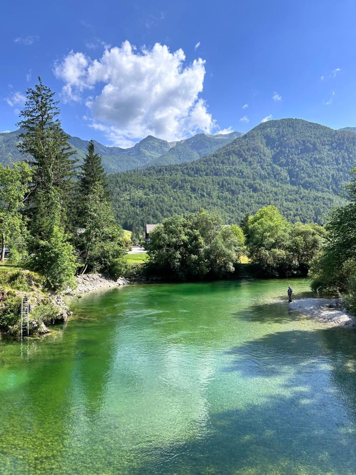 Vila Nina Bohinj Exterior photo
